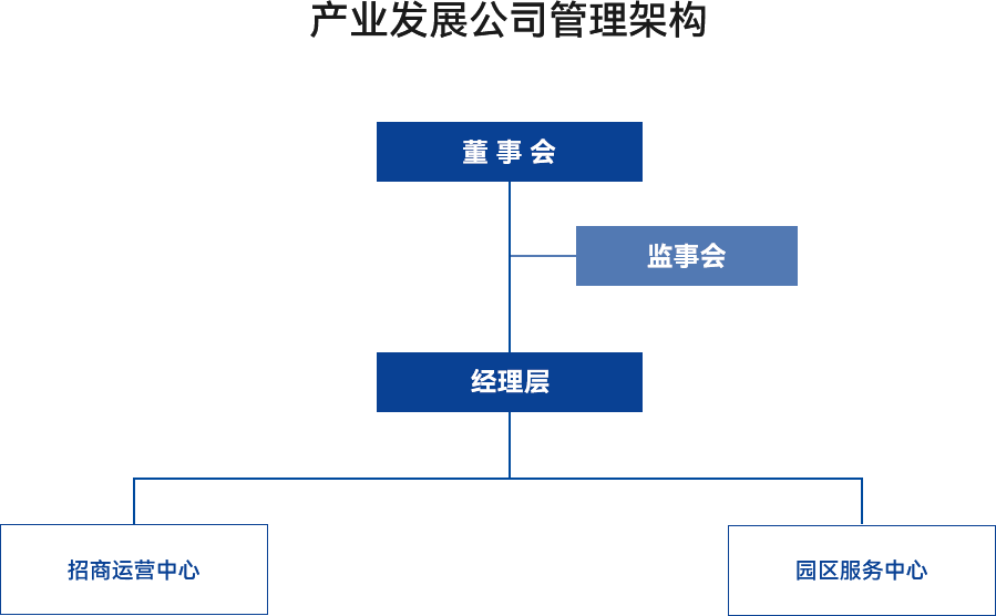 產(chǎn)業(yè)發(fā)展公司管理架構(gòu)